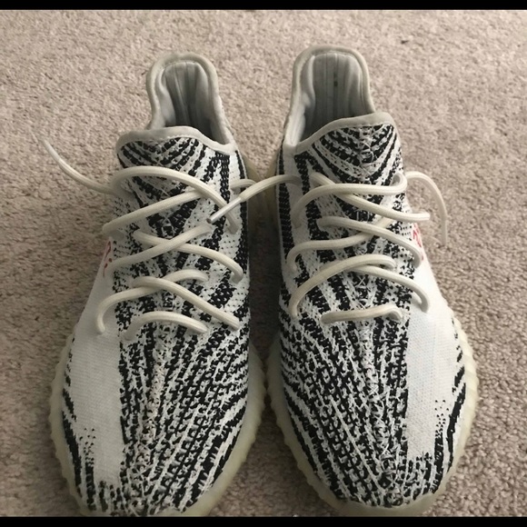 Zebras - Picture 2 of 6